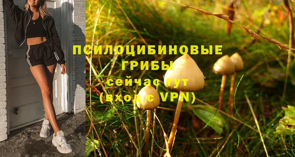 кокс Каменногорск