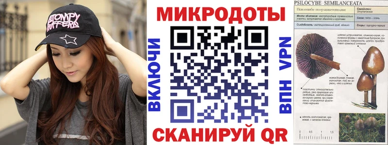 Псилоцибиновые грибы Psilocybe  Великий Новгород 