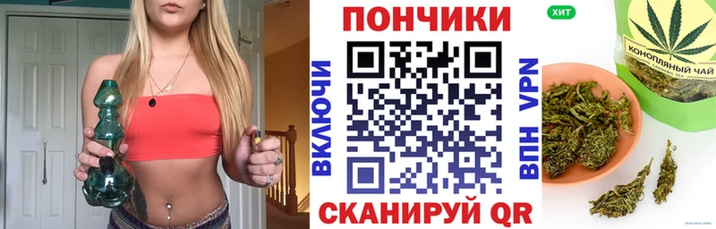 где купить наркоту  OMG tor  Конопля планчик  Великий Новгород 